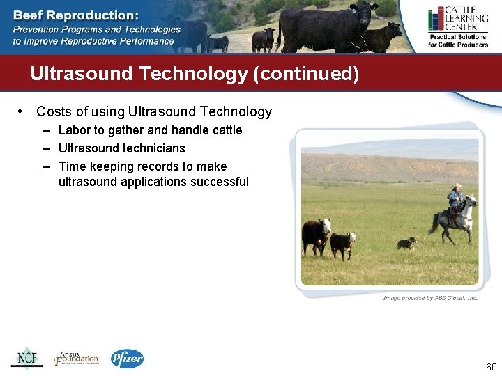 Ultrasound Technology (continued) • Costs of using Ultrasound Technology – Labor to gather and