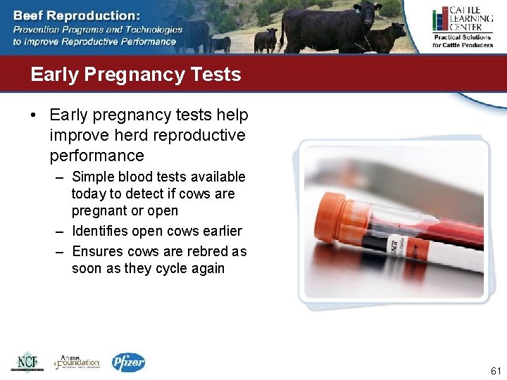 Early Pregnancy Tests • Early pregnancy tests help improve herd reproductive performance – Simple