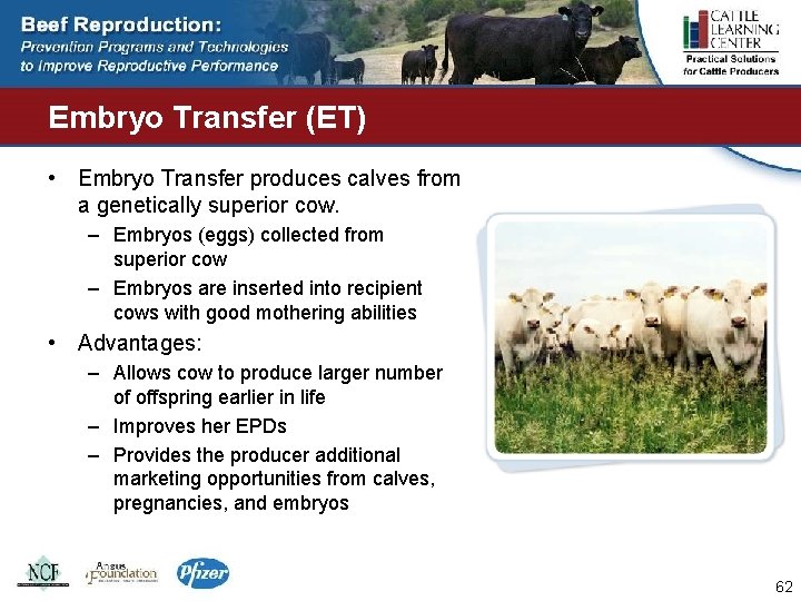 Embryo Transfer (ET) • Embryo Transfer produces calves from a genetically superior cow. –