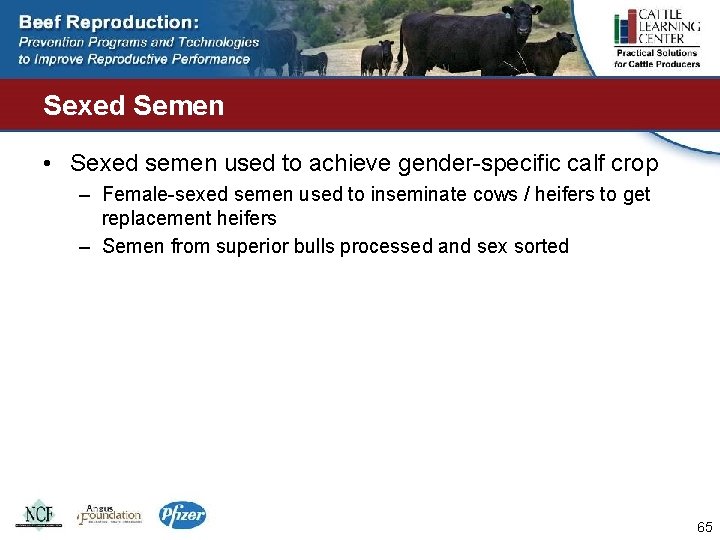 Sexed Semen • Sexed semen used to achieve gender-specific calf crop – Female-sexed semen