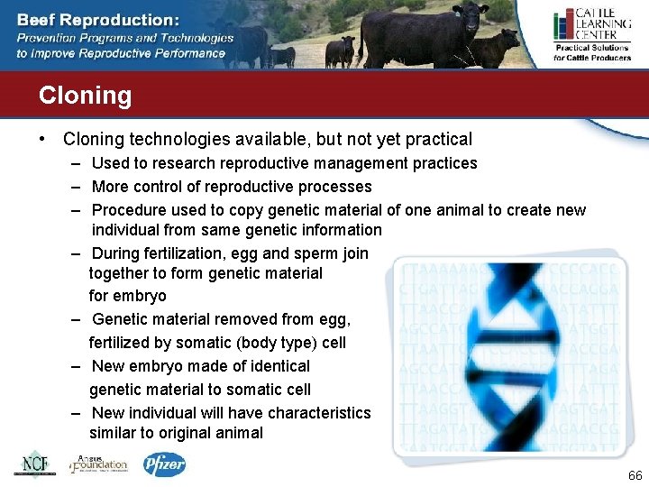 Cloning • Cloning technologies available, but not yet practical – Used to research reproductive
