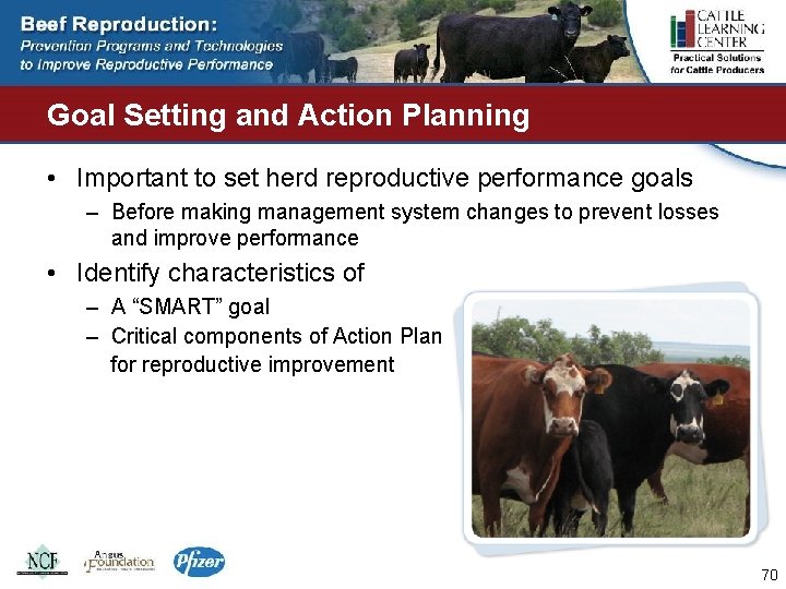 Goal Setting and Action Planning • Important to set herd reproductive performance goals –