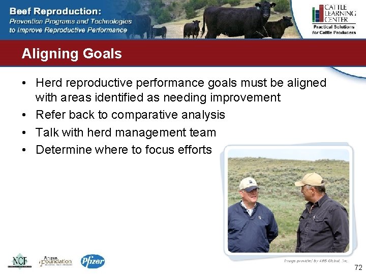 Aligning Goals • Herd reproductive performance goals must be aligned with areas identified as