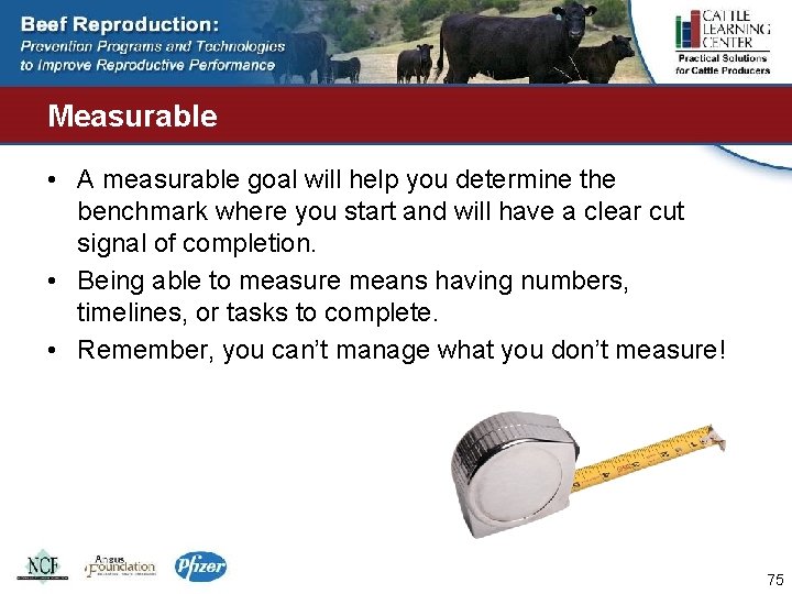 Measurable • A measurable goal will help you determine the benchmark where you start