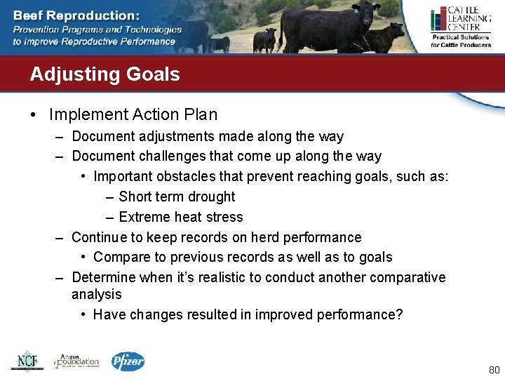 Adjusting Goals • Implement Action Plan – Document adjustments made along the way –