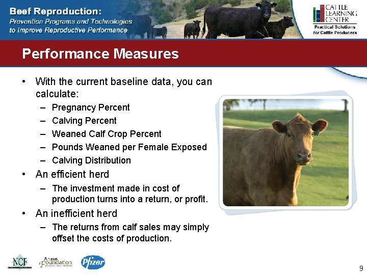 Performance Measures • With the current baseline data, you can calculate: – – –