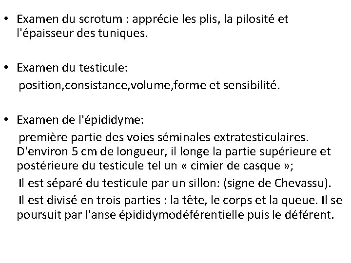  • Examen du scrotum : apprécie les plis, la pilosité et l'épaisseur des