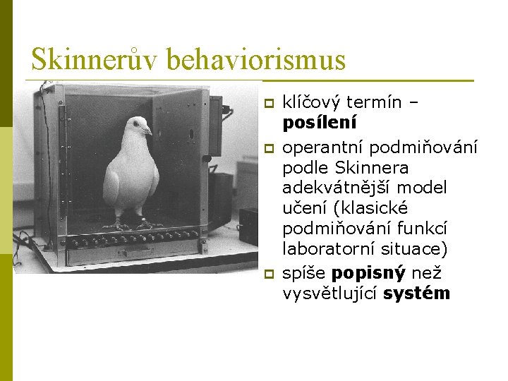 Skinnerův behaviorismus p p p klíčový termín – posílení operantní podmiňování podle Skinnera adekvátnější
