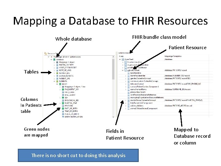 Mapping a Database to FHIR Resources FHIR bundle class model Whole database Patient Resource