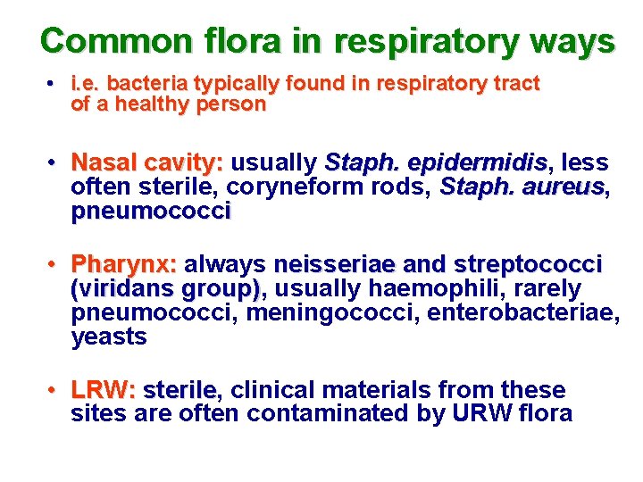 Common flora in respiratory ways • i. e. bacteria typically found in respiratory tract