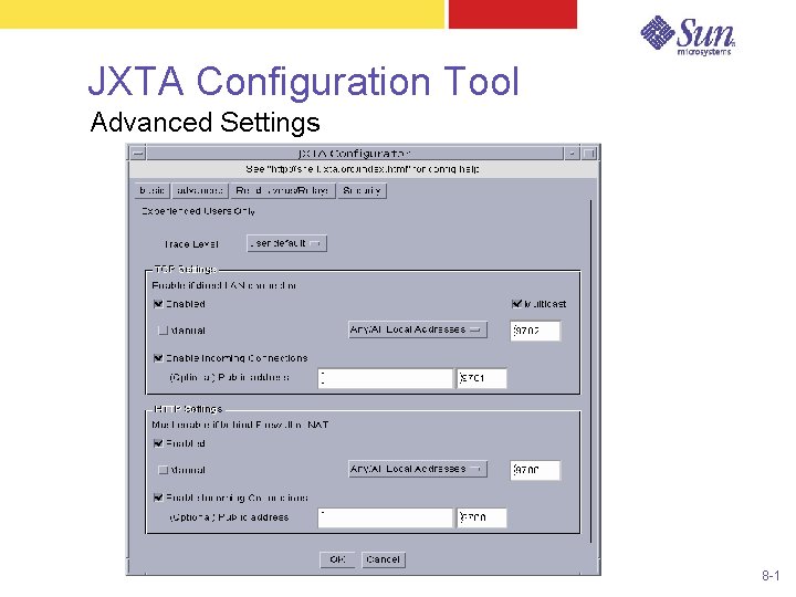 JXTA Configuration Tool Advanced Settings 8 -1 
