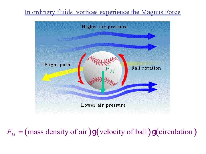In ordinary fluids, vortices experience the Magnus Force FM 