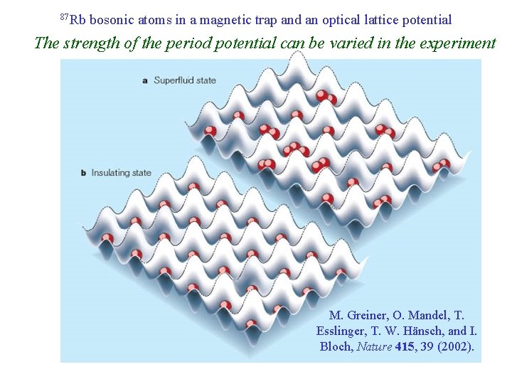 87 Rb bosonic atoms in a magnetic trap and an optical lattice potential The