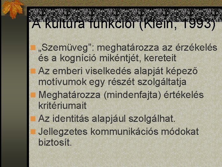 A kultúra funkciói (Klein, 1993) n „Szemüveg”: meghatározza az érzékelés és a kogníció mikéntjét,