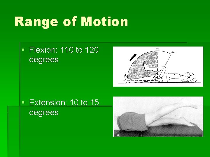 Range of Motion § Flexion: 110 to 120 degrees § Extension: 10 to 15