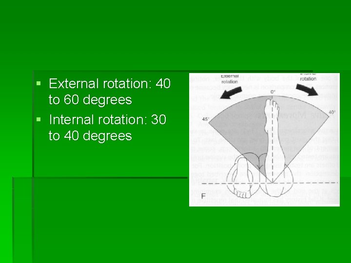 § External rotation: 40 to 60 degrees § Internal rotation: 30 to 40 degrees