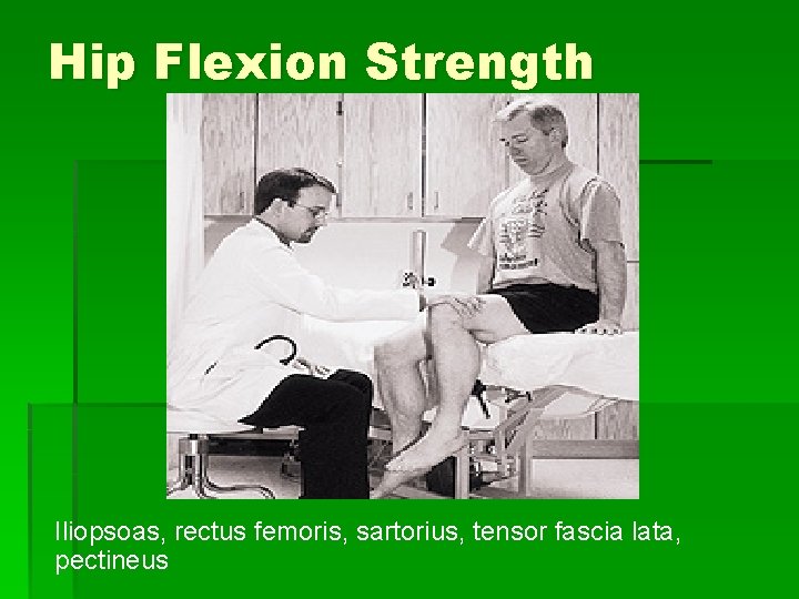 Hip Flexion Strength Iliopsoas, rectus femoris, sartorius, tensor fascia lata, pectineus 