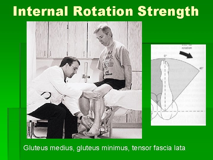 Internal Rotation Strength Gluteus medius, gluteus minimus, tensor fascia lata 