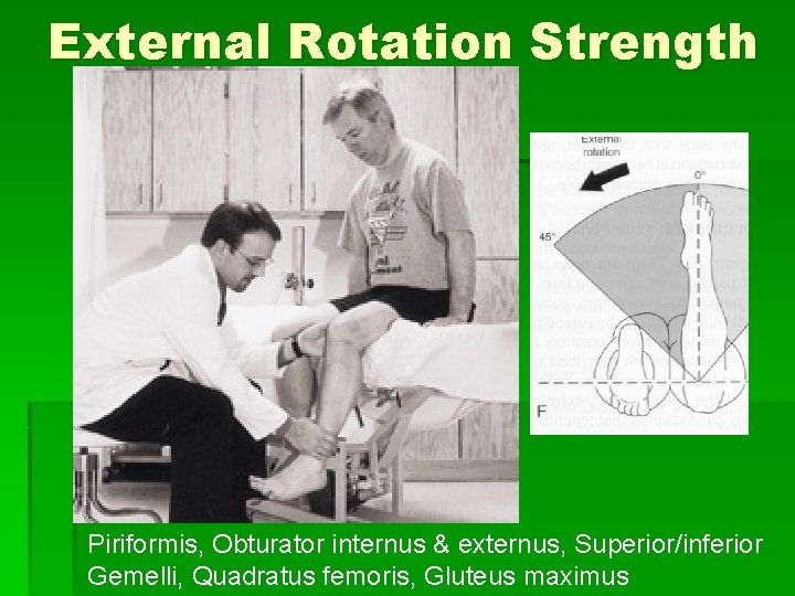 External Rotation Strength Piriformis, Obturator internus & externus, Superior/inferior Gemelli, Quadratus femoris, Gluteus maximus