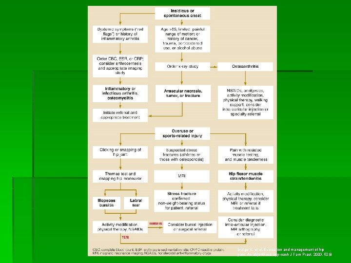 Margo K, et al. Evaluation and management of hip pain: An algorithmic approach J