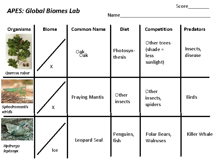 APES: Global Biomes Lab Organisms Biome Common Name Oak Score____ Name_________________ Diet Competition Predators