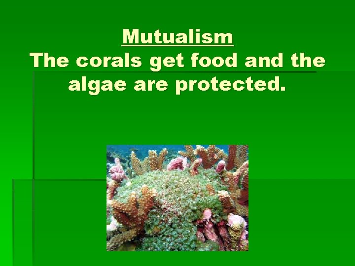 Mutualism The corals get food and the algae are protected. 