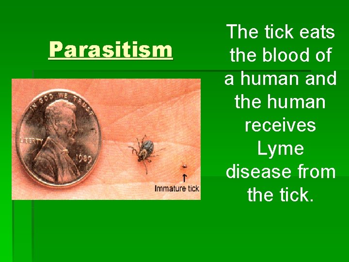 Parasitism The tick eats the blood of a human and the human receives Lyme