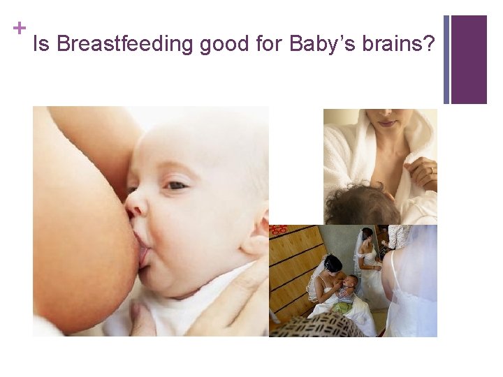 + Is Breastfeeding good for Baby’s brains? 