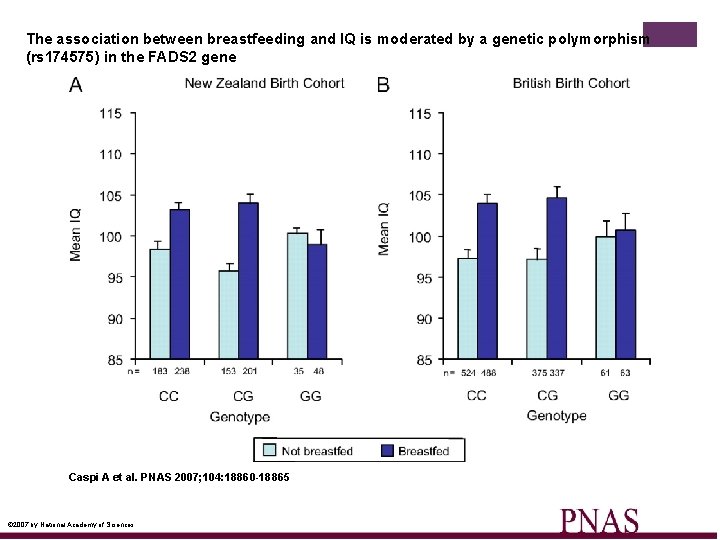 The association between breastfeeding and IQ is moderated by a genetic polymorphism (rs 174575)