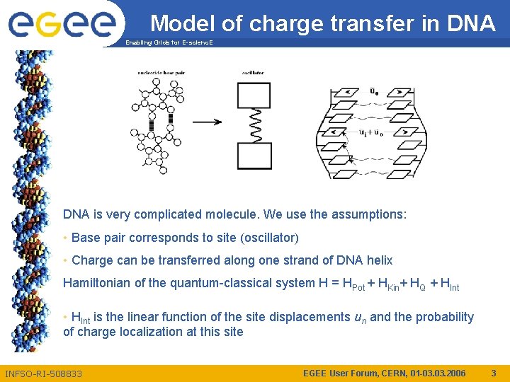 Model of charge transfer in DNA Enabling Grids for E-scienc. E DNA is very