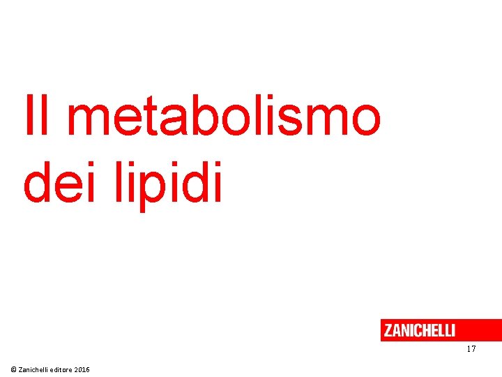 Il metabolismo dei lipidi 17 © Zanichelli editore 2016 