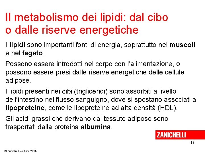 Il metabolismo dei lipidi: dal cibo o dalle riserve energetiche I lipidi sono importanti