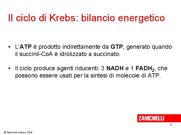 Il ciclo di Krebs: bilancio energetico • L’ATP è prodotto indirettamente da GTP, generato