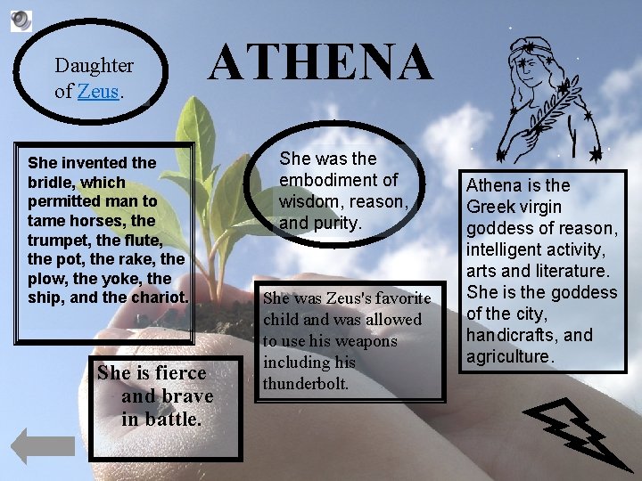 Daughter of Zeus. ATHENA She invented the bridle, which permitted man to tame horses,