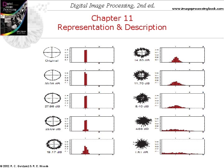 Digital Image Processing, 2 nd ed. Chapter 11 Representation & Description © 2002 R.