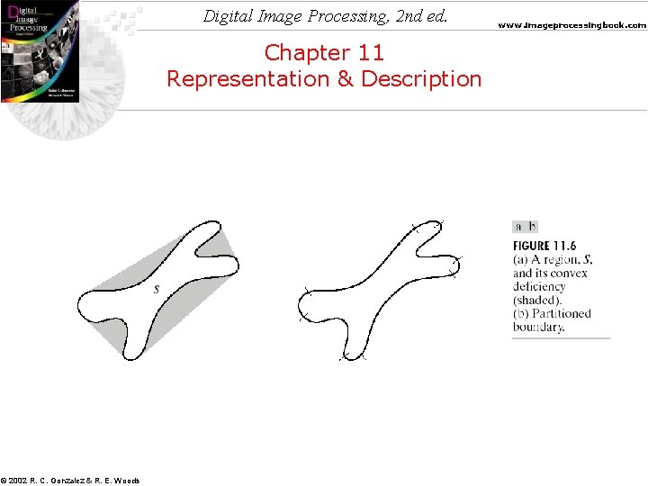 Digital Image Processing, 2 nd ed. Chapter 11 Representation & Description © 2002 R.