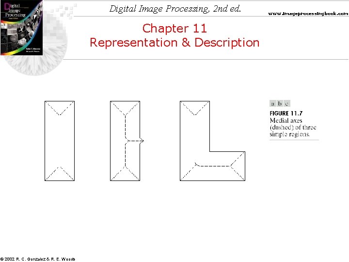 Digital Image Processing, 2 nd ed. Chapter 11 Representation & Description © 2002 R.