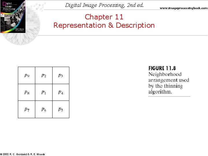 Digital Image Processing, 2 nd ed. Chapter 11 Representation & Description © 2002 R.