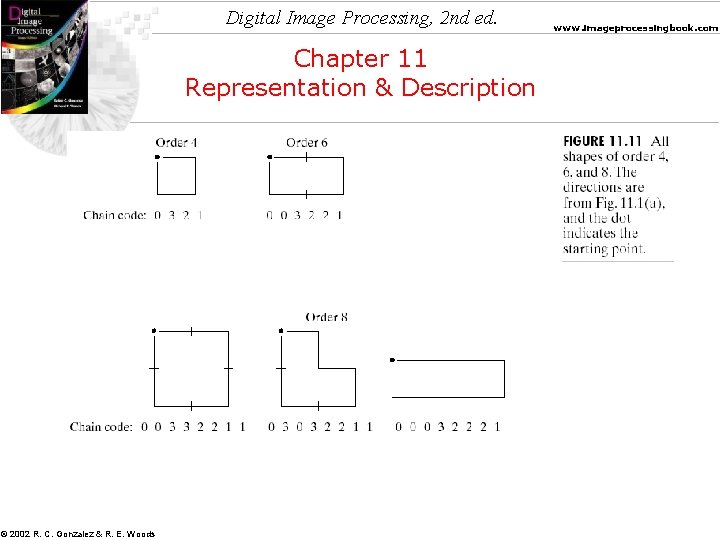 Digital Image Processing, 2 nd ed. Chapter 11 Representation & Description © 2002 R.