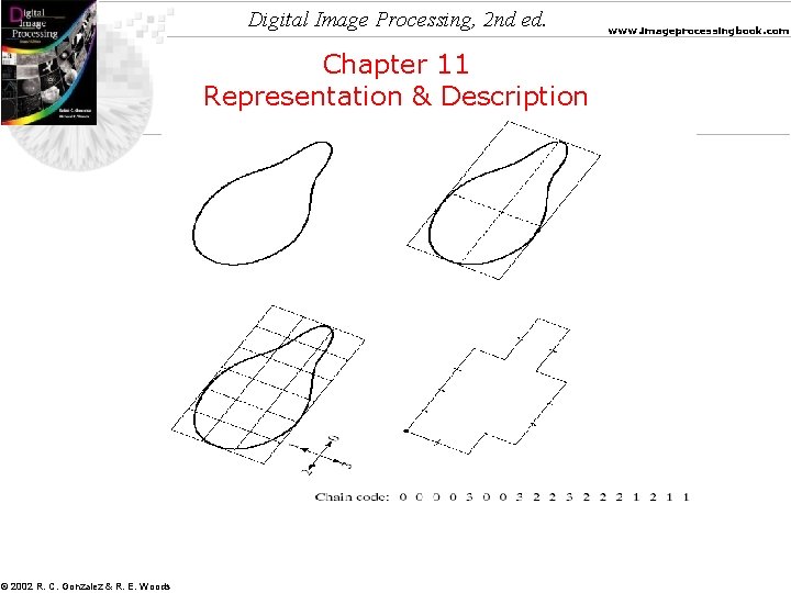 Digital Image Processing, 2 nd ed. Chapter 11 Representation & Description © 2002 R.