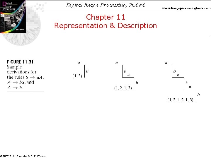 Digital Image Processing, 2 nd ed. Chapter 11 Representation & Description © 2002 R.