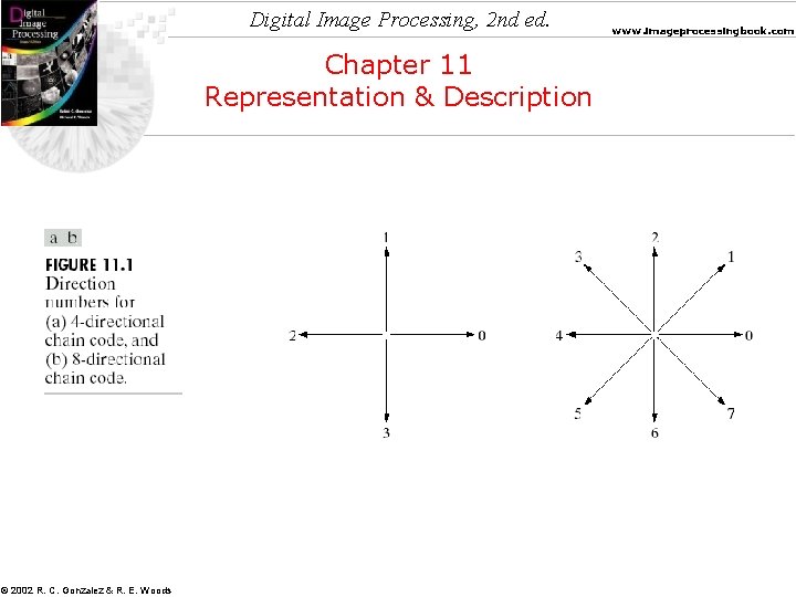 Digital Image Processing, 2 nd ed. Chapter 11 Representation & Description © 2002 R.