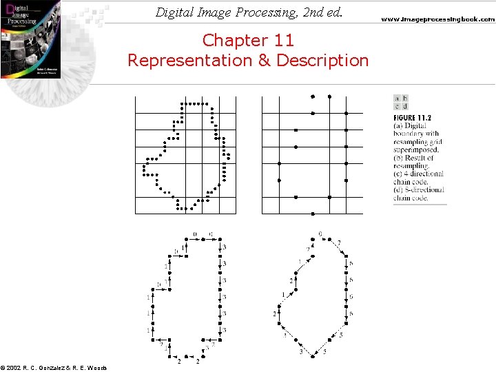 Digital Image Processing, 2 nd ed. Chapter 11 Representation & Description © 2002 R.