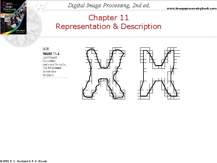 Digital Image Processing, 2 nd ed. Chapter 11 Representation & Description © 2002 R.