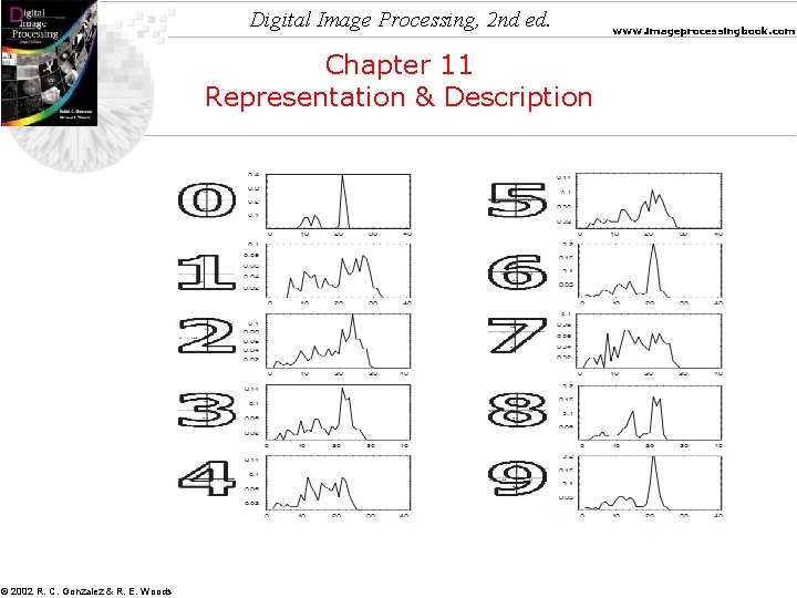 Digital Image Processing, 2 nd ed. Chapter 11 Representation & Description © 2002 R.