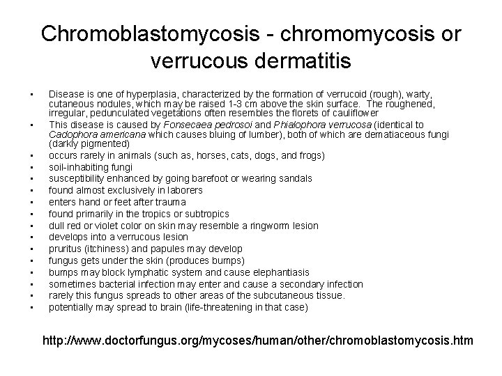Chromoblastomycosis - chromomycosis or verrucous dermatitis • • • • Disease is one of
