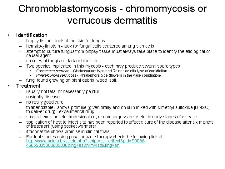 Chromoblastomycosis - chromomycosis or verrucous dermatitis • Identification – biopsy tissue - look at