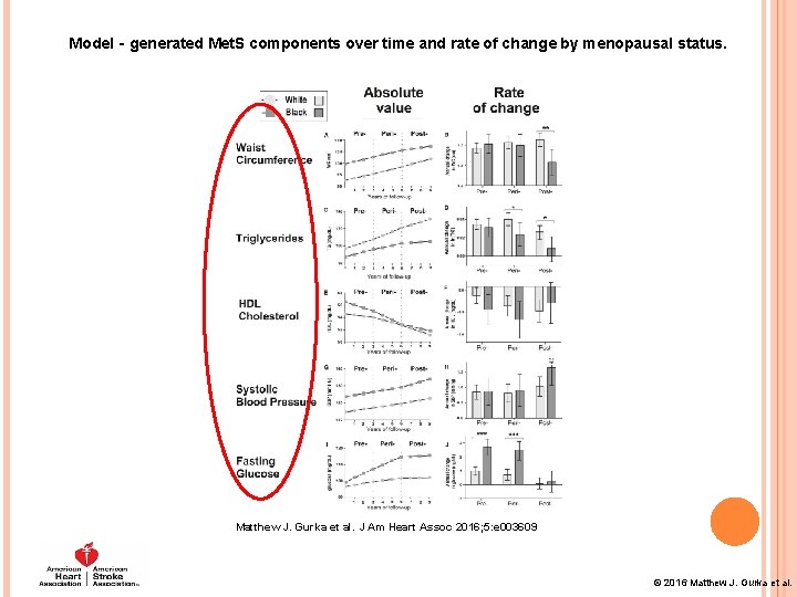 Model‐generated Met. S components over time and rate of change by menopausal status. Matthew