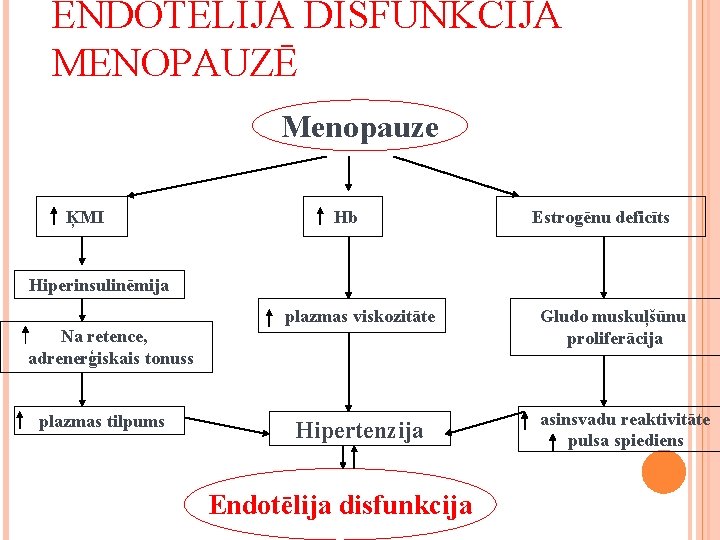 ENDOTĒLIJA DISFUNKCIJA MENOPAUZĒ Menopauze ĶMI Hb Estrogēnu deficīts Hiperinsulinēmija plazmas viskozitāte Na retence, adrenerģiskais