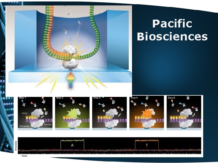 Pacific Biosciences 